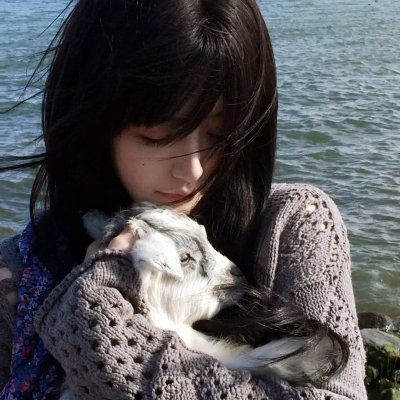 秋菊打官司